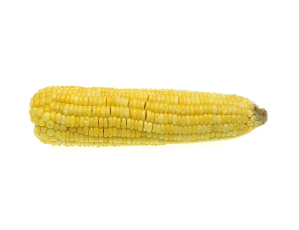 白い背景に黄色いトウモロコシ — ストック写真