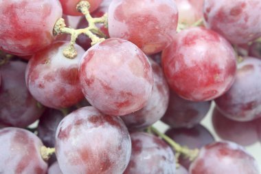 Beyaz üzerine koyu üzümler 