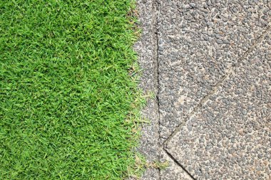 yeşil çim ile parkta yürüyüş yolu