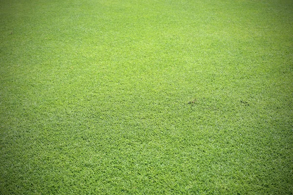 背景色のための緑の芝生 — ストック写真