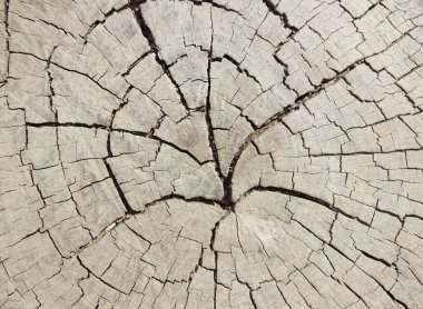 Arkaplan dokusu için eski tahta