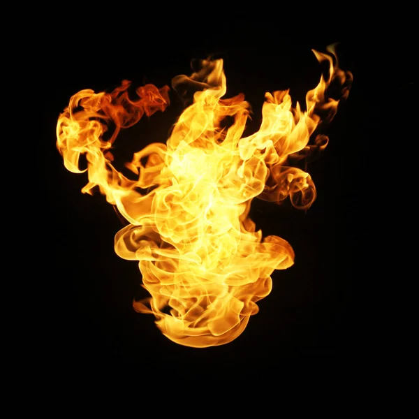 Fire Flames Collection Isolated Black Background — Stock Photo, Image