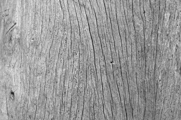 Old Wood Flooring Textures Backgrounds — Stock Photo, Image