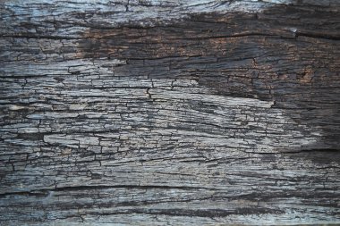 Arkaplan dokusu için eski grunge tahta panelleri