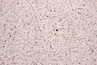 Terrazzo zemin eski dokusu ya da arka plan için cilalanmış taş