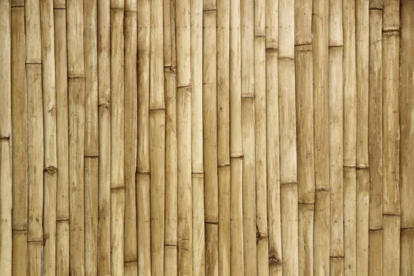 대나무 울타리의 — 스톡 사진