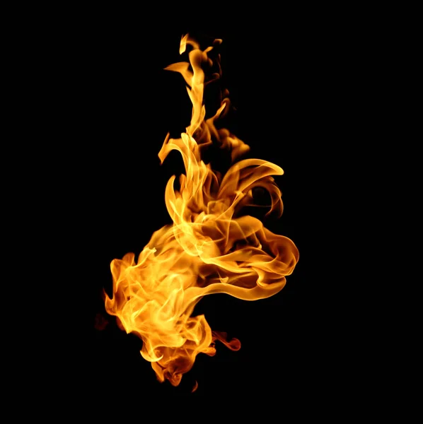 Fire Flames Collection Isolated Black Background — Stock Photo, Image