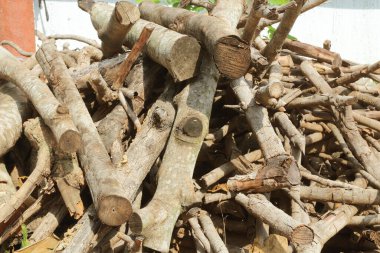 Kazan için odun yığınında kuru odun.