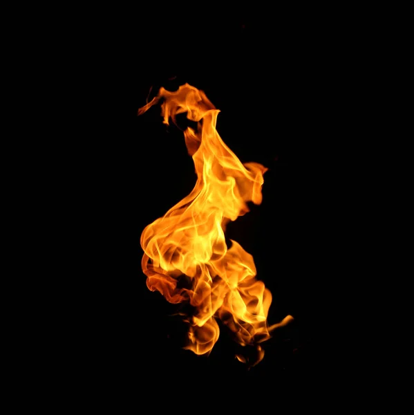 Fire Flames Collection Isolated Black Background — Stock Photo, Image