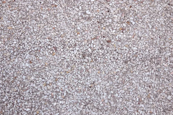 테라초 바닥에 백합을 — 스톡 사진