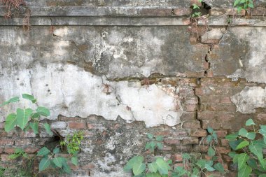 Çimenli eski duvar Duvar arkaplanı çürüyor