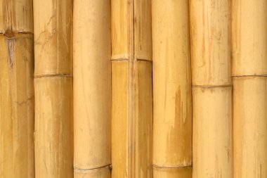 Bambu duvar dokusu arkaplanı