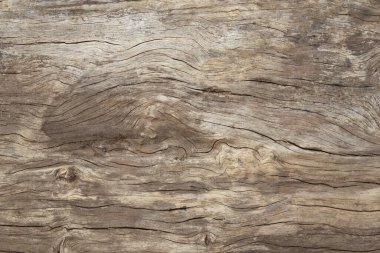 Ahşap doku arka plan eski doğal desen
