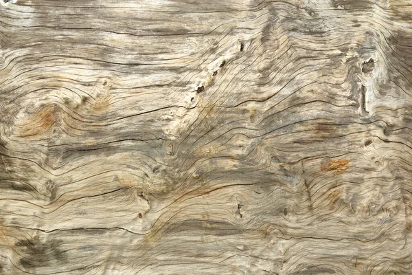 クローズ アップ自然な背景として樹皮木材使用感 — ストック写真