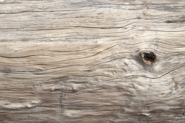 Textura Cerca Del Uso Madera Corteza Como Fondo Natural — Foto de Stock