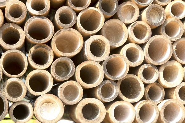 Arkaplan için bambu dairesi kesiti dokusu