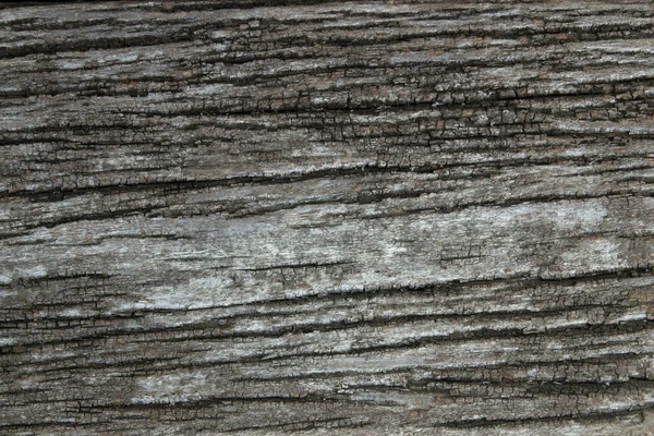 樹皮の背景テクスチャ 木の皮を剥ぐ — ストック写真