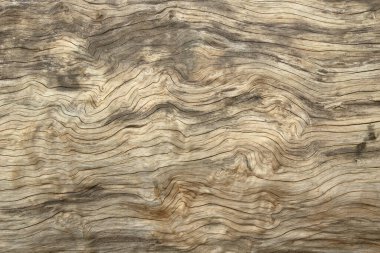 Ağaç kabuğunun doğal arkaplan olarak kullanımı