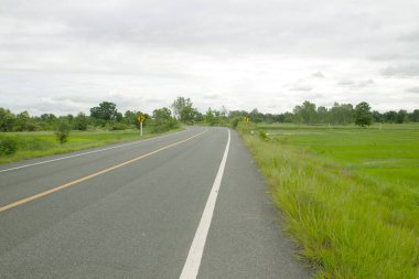 Kır manzarası, tarla ve çimenler kırsal kesimde kır yolu ile birlikte..
