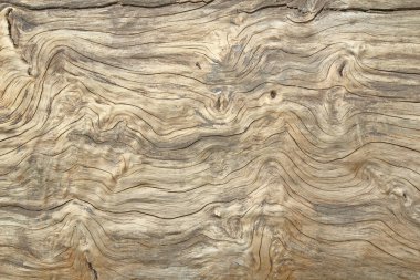 Doğal desenli eski ahşap doku.