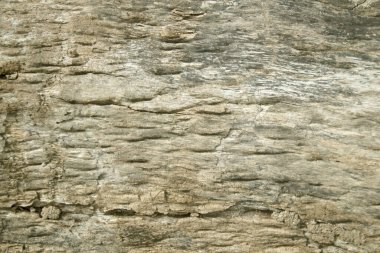 Eski doğal desenli koyu ahşap arkaplan yüzeyi