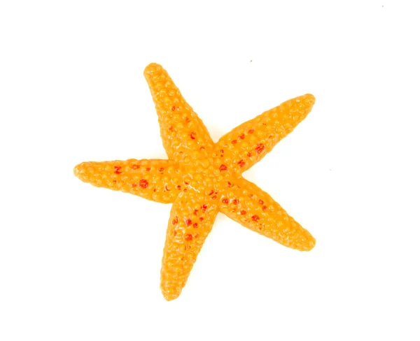 Plastic Toy Starfish White Background — Stockfoto