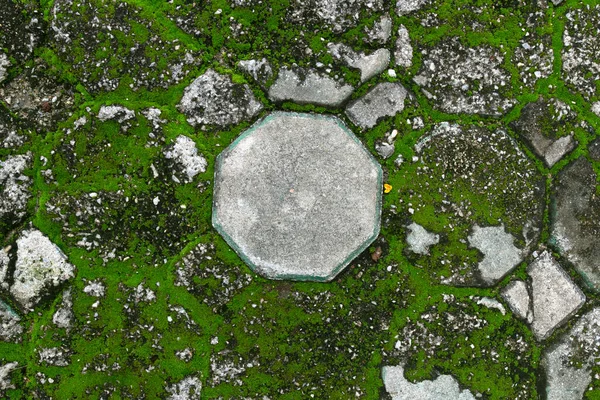 Old Stone Floor Lichen Walkway Background — Zdjęcie stockowe