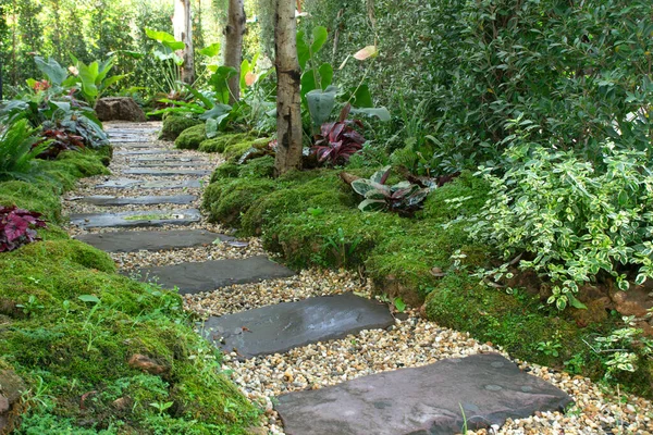 Landscaping Green Garden Pathway Park Curve Walkway Stone Tile — стоковое фото