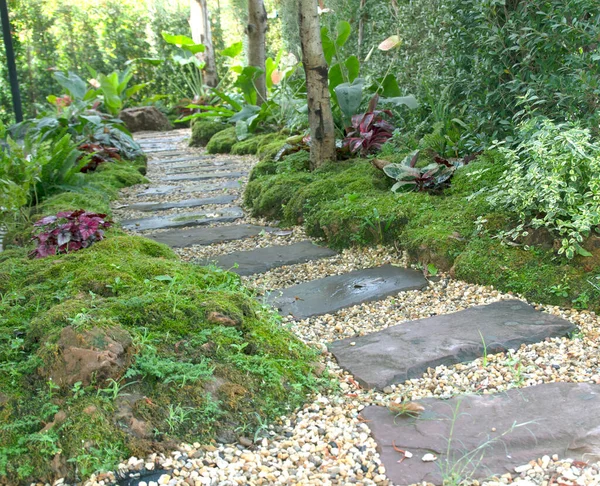 Camino Camino Jardín Jardín Flores — Foto de Stock