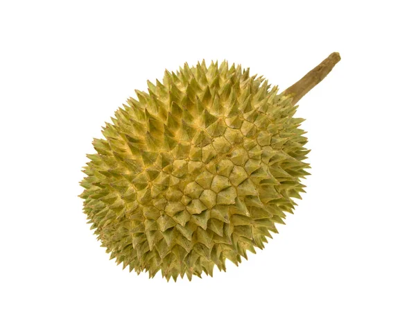 Thai Fruit Durian Isolated White Background — Foto de Stock