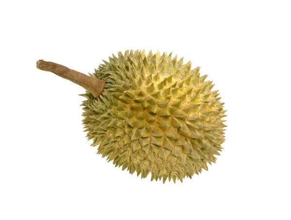 Thai Fruit Durian Isolated White Background — Fotografia de Stock