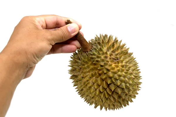 Durian Fruit Hand Isolated White Background — Foto de Stock