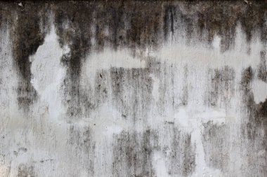 Arkaplan veya doku çalışması için beyaz eski duvar.