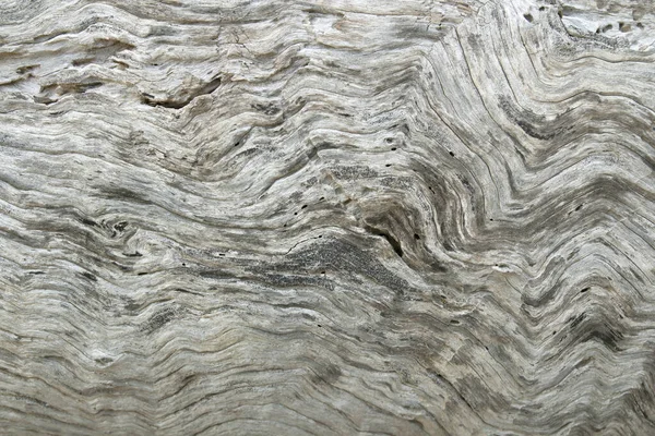 Doğal desenli eski ahşap bir doku.