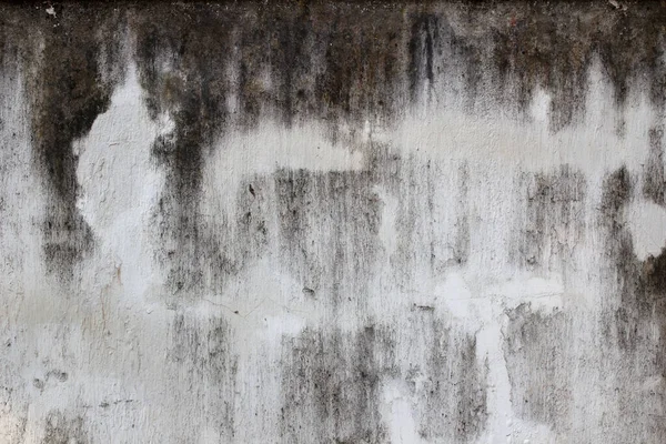 Arkaplan veya doku çalışması için beyaz eski duvar.