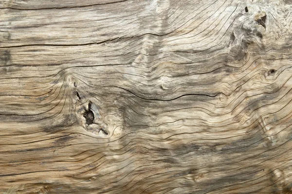 Old Wooden Surface Natural Pattern — Foto de Stock