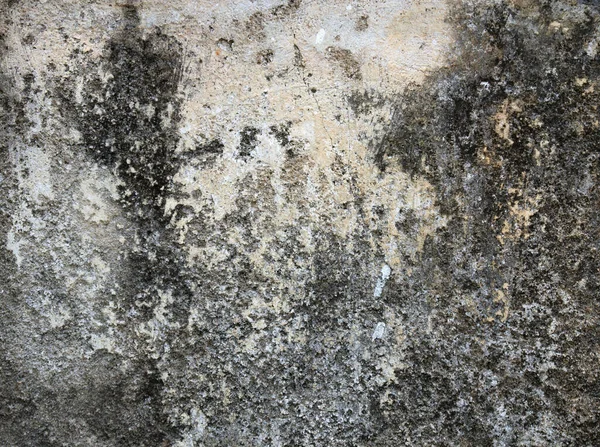 Concrete Crack Vintage Wall Background Old Wall — ストック写真