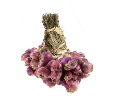 İzole edilmiş soğan. Beyaz zemin üzerinde küçük kırmızı bir grupta Shallot soğanları. 