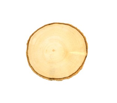 Beyaz zemin üzerinde küçük kesilmiş ağaç. ahşap tepsi