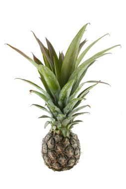 ananas