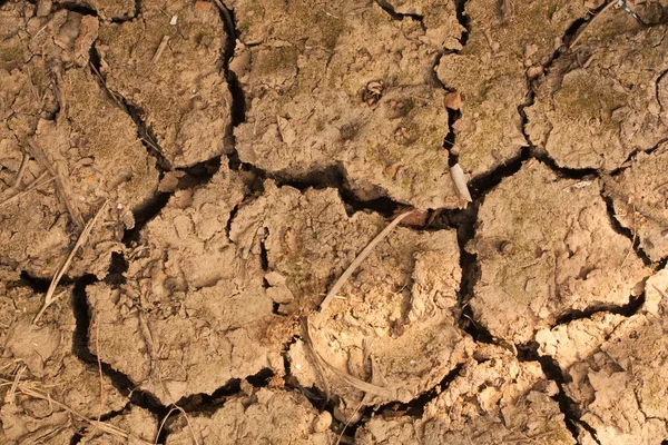 Dry soil texture background — Stock Photo, Image