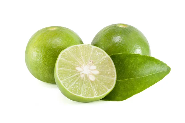 Limón - limón verde — Foto de Stock