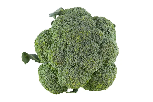 Floreto de brócolis — Fotografia de Stock