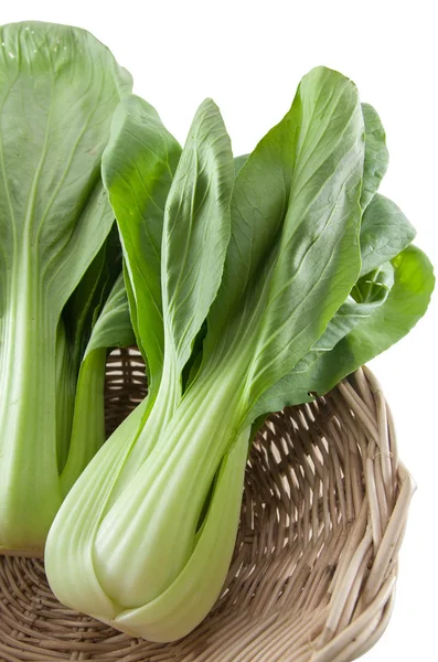 Chinese bok choy in mand — Stockfoto