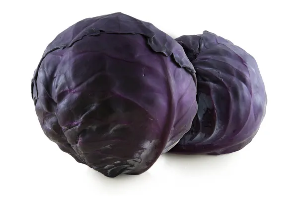 Red cabbage  isolated — Stock Photo, Image