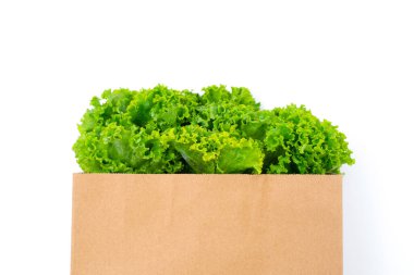 Beyaz arka planda kağıt torbalarda taze marul.