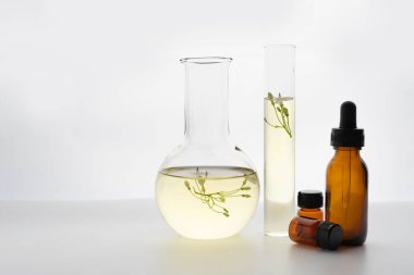 Alternatif bitki ilacıyla laboratuvar ve araştırma doğal cilt bakımı