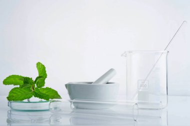 bitkisel ilaç doğal organik ve bilimsel Züccaciye Mağazaları, araştırma ve geliştirme kavramı.