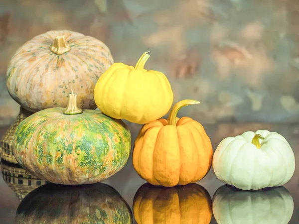 Pumpkins — Stock Photo, Image