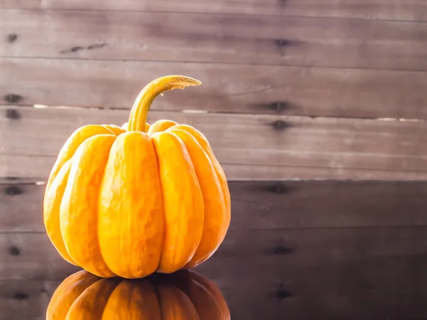 Gul beautifull Pumpkin — Stockfoto